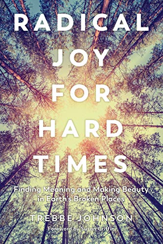 Algopix Similar Product 1 - Radical Joy for Hard Times Finding