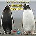 Algopix Similar Product 7 - My First Book of Animal Opposites