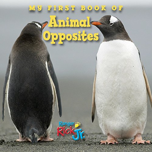 Algopix Similar Product 7 - My First Book of Animal Opposites