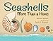 Algopix Similar Product 5 - Seashells: More Than a Home