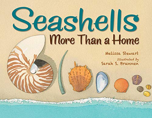 Algopix Similar Product 11 - Seashells: More Than a Home