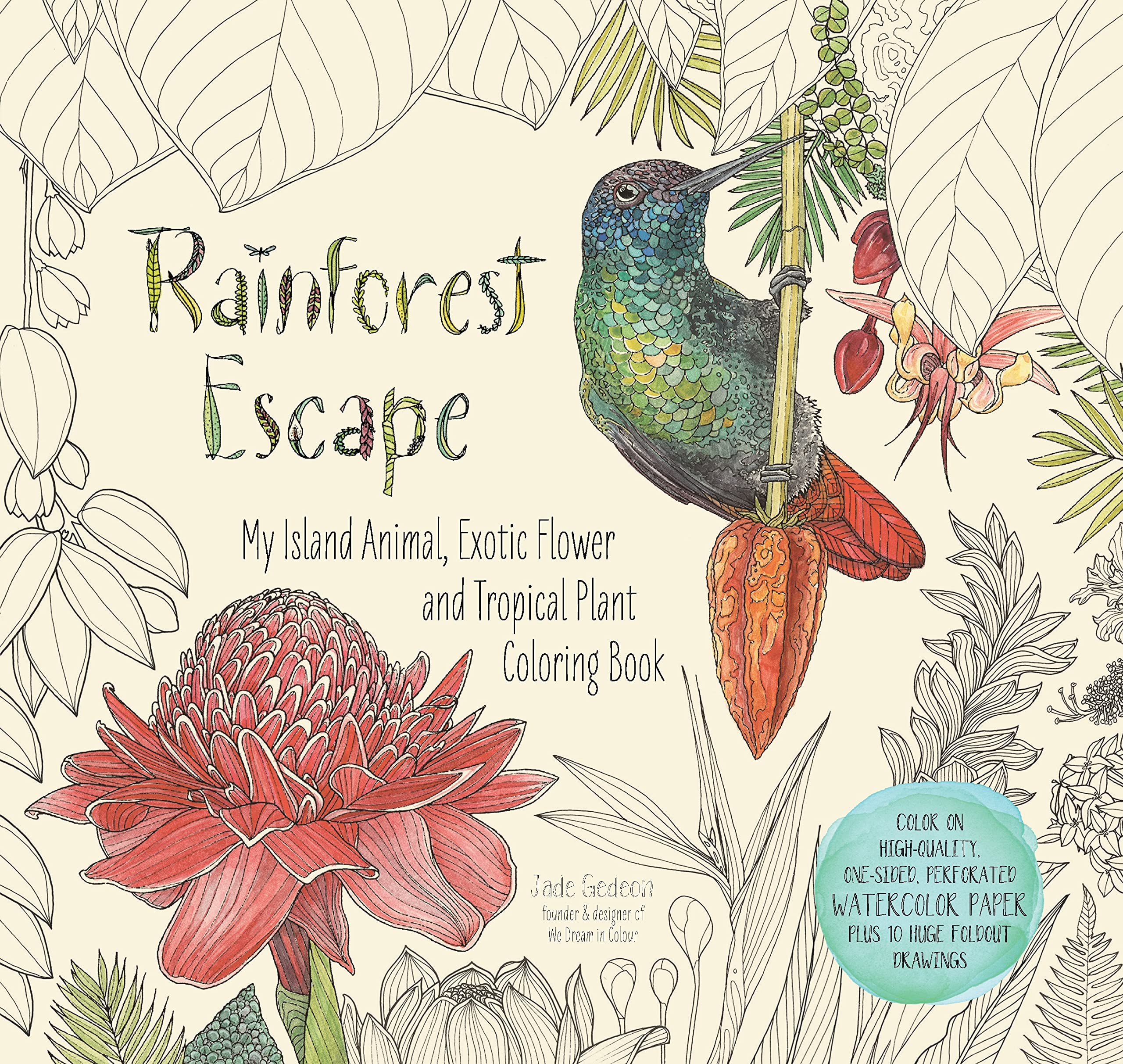 Algopix Similar Product 20 - Rainforest Escape My Island Animal