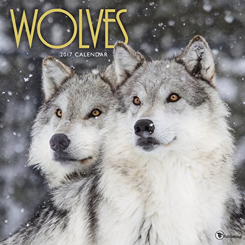 Algopix Similar Product 9 - 2017 Wolves Wall Calendar