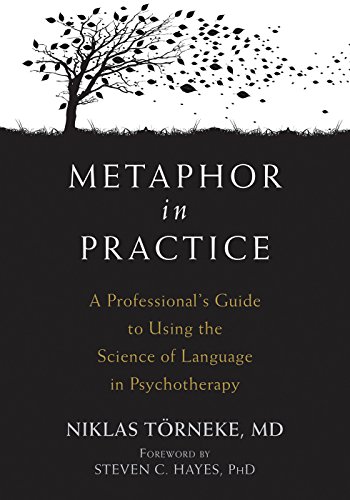 Algopix Similar Product 13 - Metaphor in Practice A Professionals