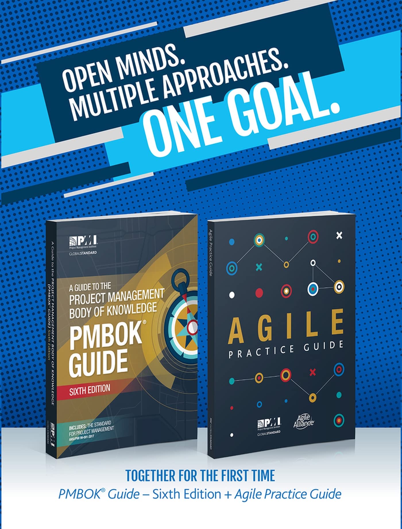 Algopix Similar Product 4 - A Guide to the Project Management Body