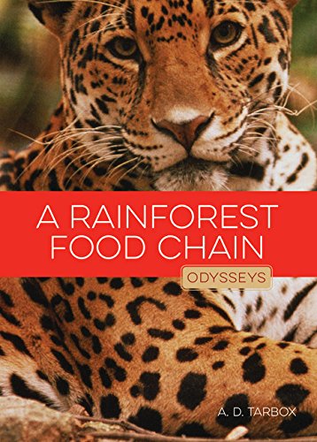 Algopix Similar Product 11 - A Rainforest Food Chain Odysseys in