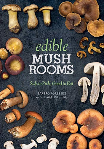 Algopix Similar Product 18 - Edible Mushrooms Safe to Pick Good to