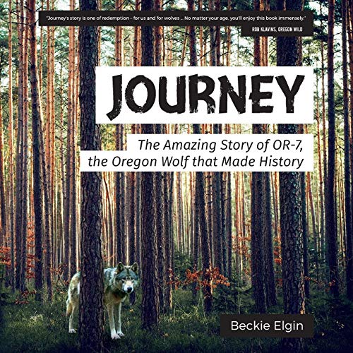 Algopix Similar Product 3 - Journey The Amazing Story of OR7 the