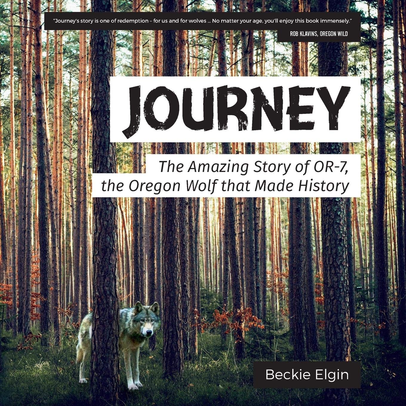 Algopix Similar Product 15 - Journey The Amazing Story of OR7 the