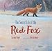 Algopix Similar Product 20 - The Secret Life of the Red Fox