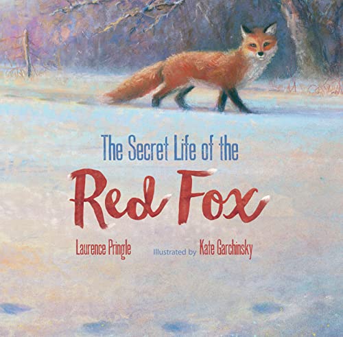 Algopix Similar Product 14 - The Secret Life of the Red Fox