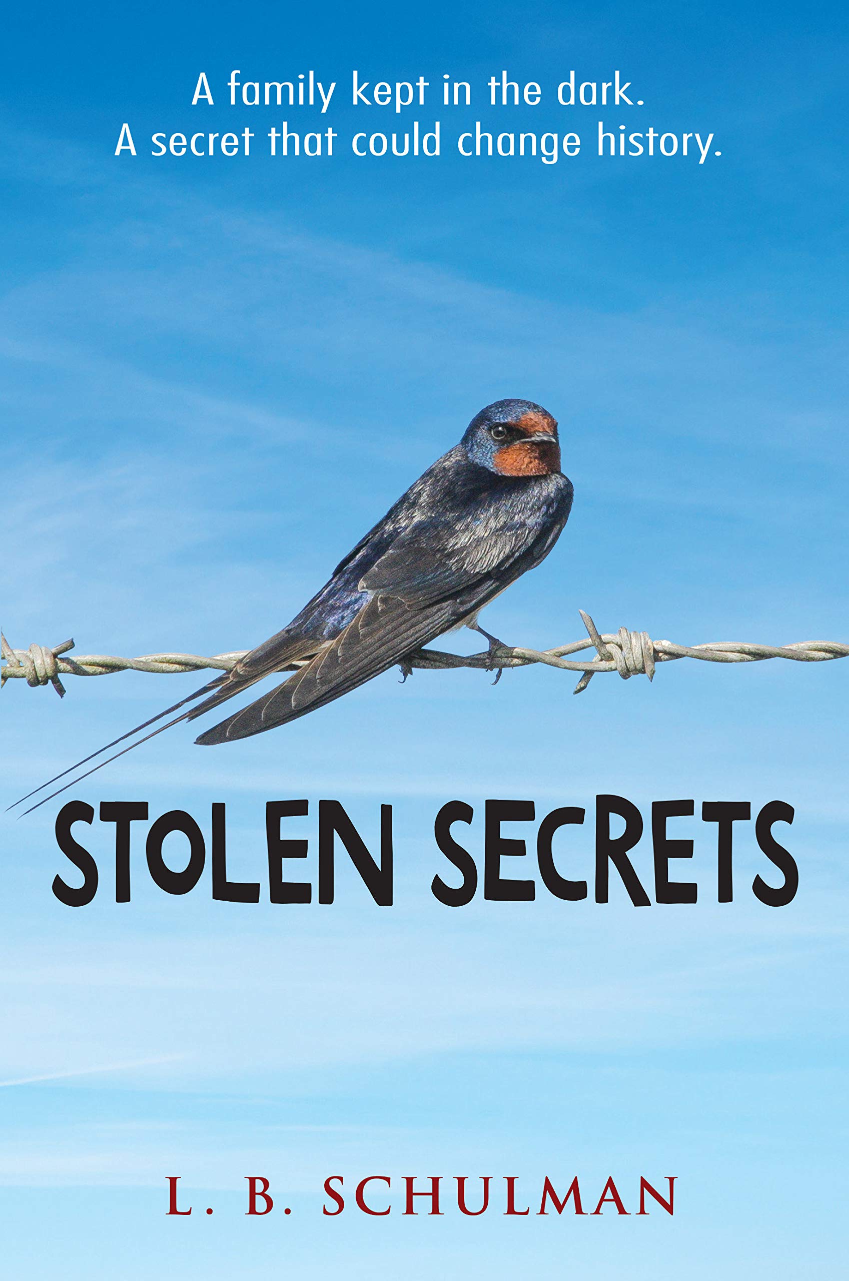 Algopix Similar Product 1 - Stolen Secrets