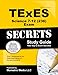 Algopix Similar Product 1 - TExES Science 712 236 Secrets Study
