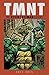 Algopix Similar Product 3 - Teenage Mutant Ninja Turtles The Kevin