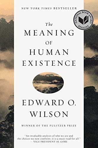 Algopix Similar Product 2 - The Meaning of Human Existence
