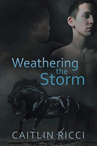 Algopix Similar Product 7 - Weathering the Storm (1) (Robbie & Sam)