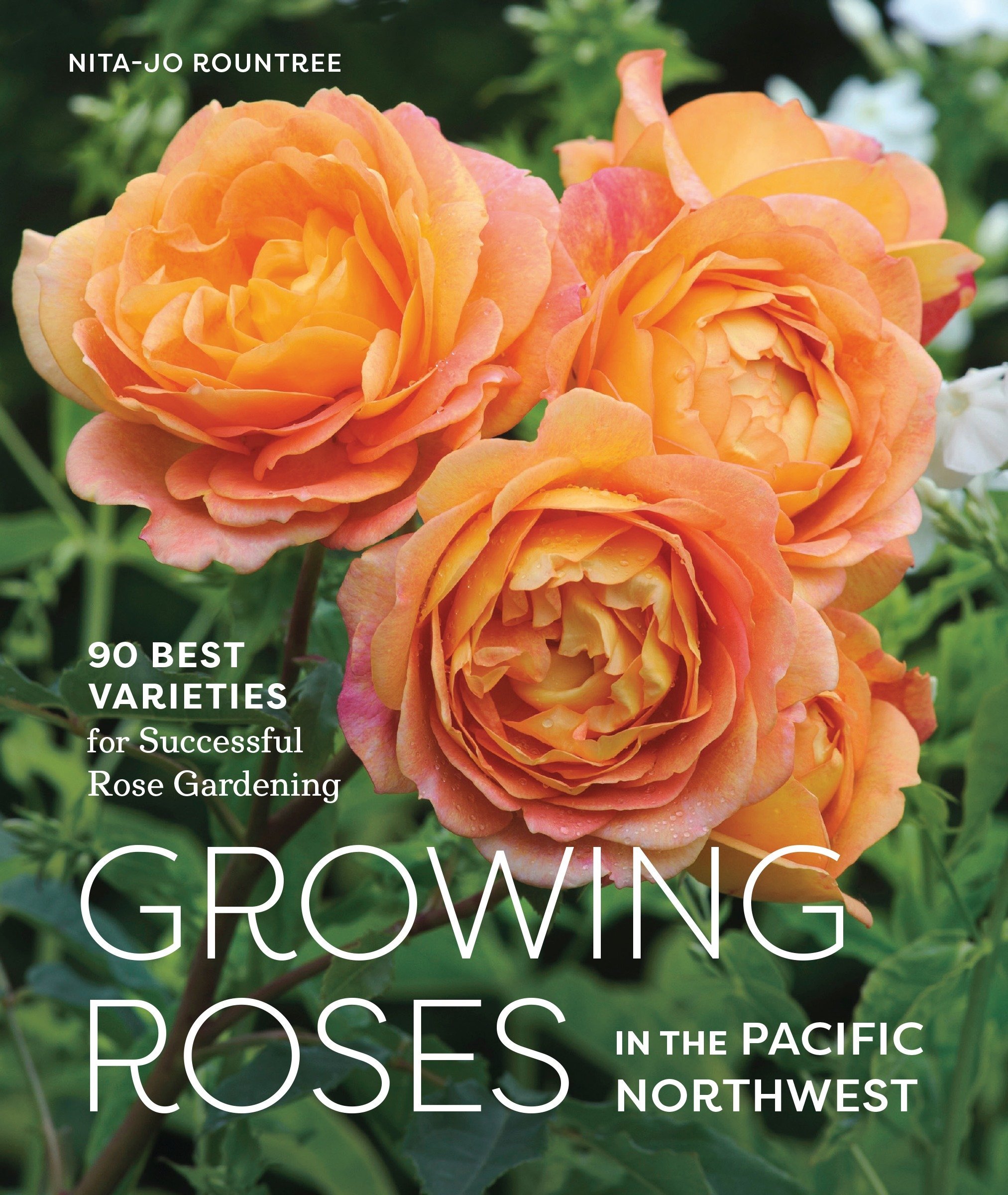 Algopix Similar Product 17 - Growing Roses in the Pacific Northwest