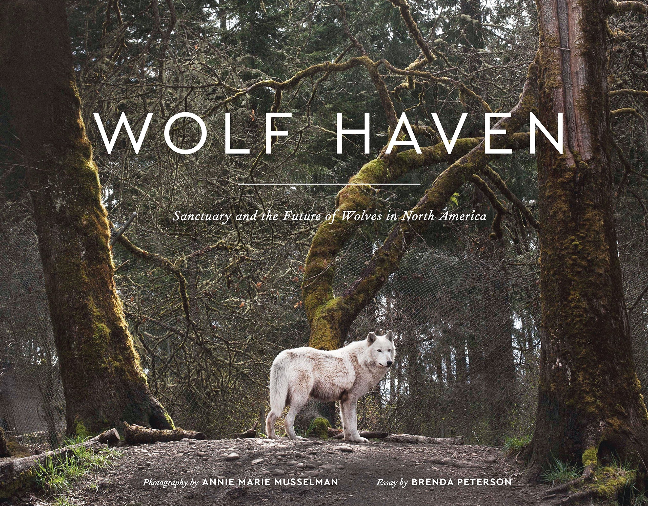 Algopix Similar Product 5 - Wolf Haven Sanctuary and the Future of