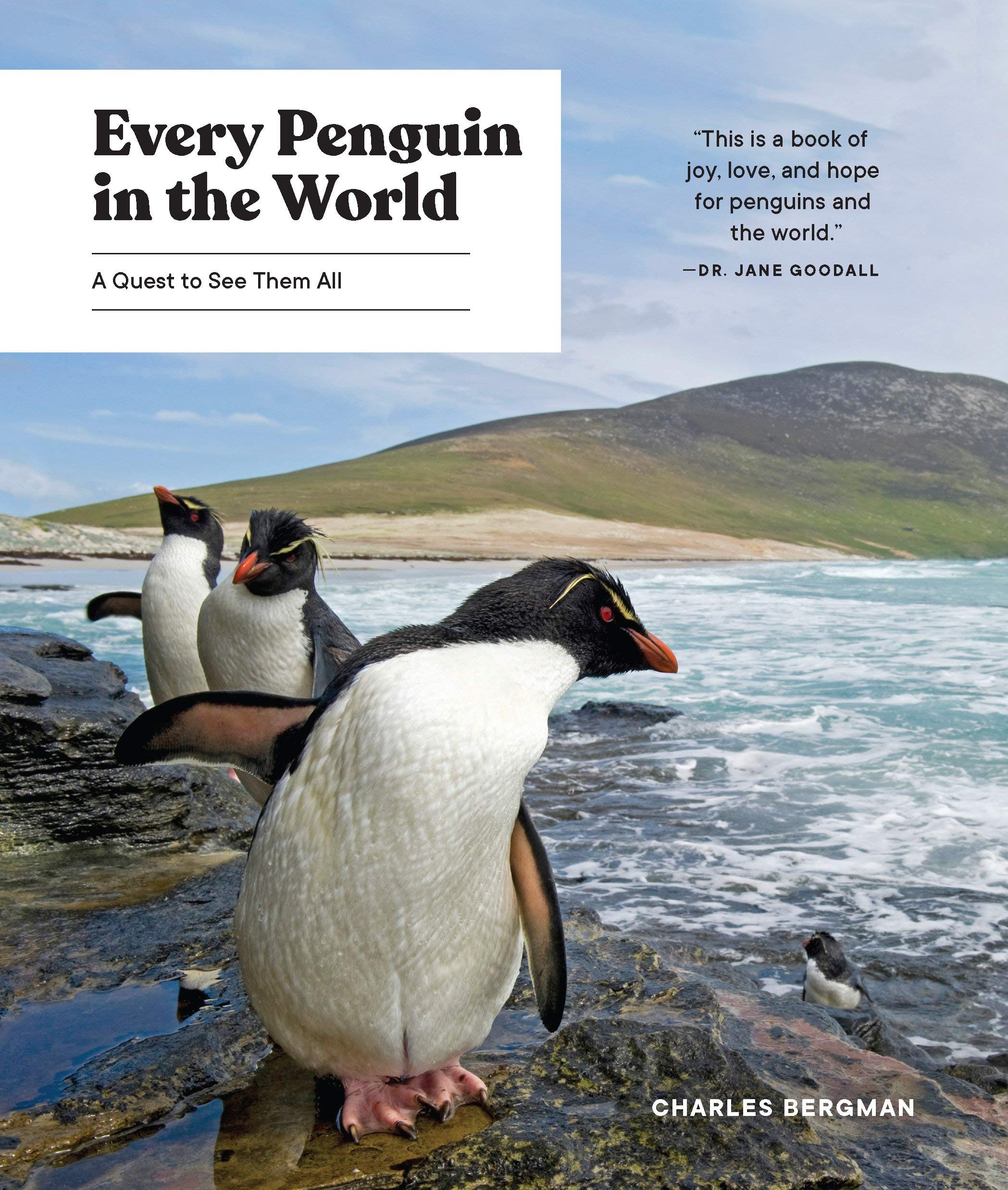 Algopix Similar Product 1 - Every Penguin in the World A Quest to