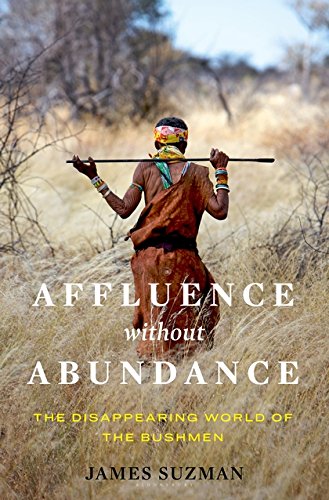 Algopix Similar Product 10 - Affluence Without Abundance What We