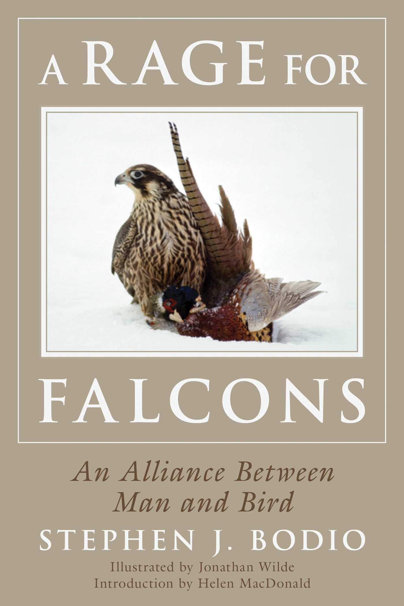 Algopix Similar Product 18 - A Rage for Falcons An Alliance Between