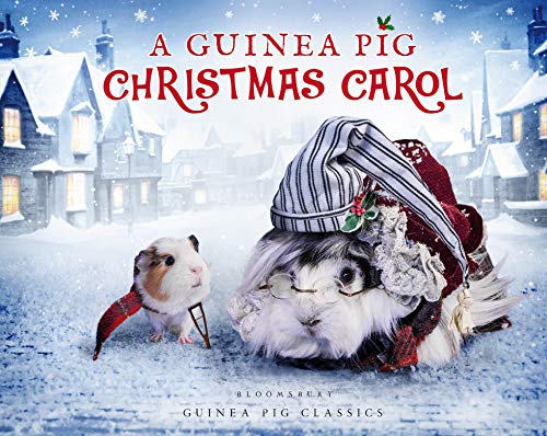 Algopix Similar Product 12 - A Guinea Pig Christmas Carol Guinea