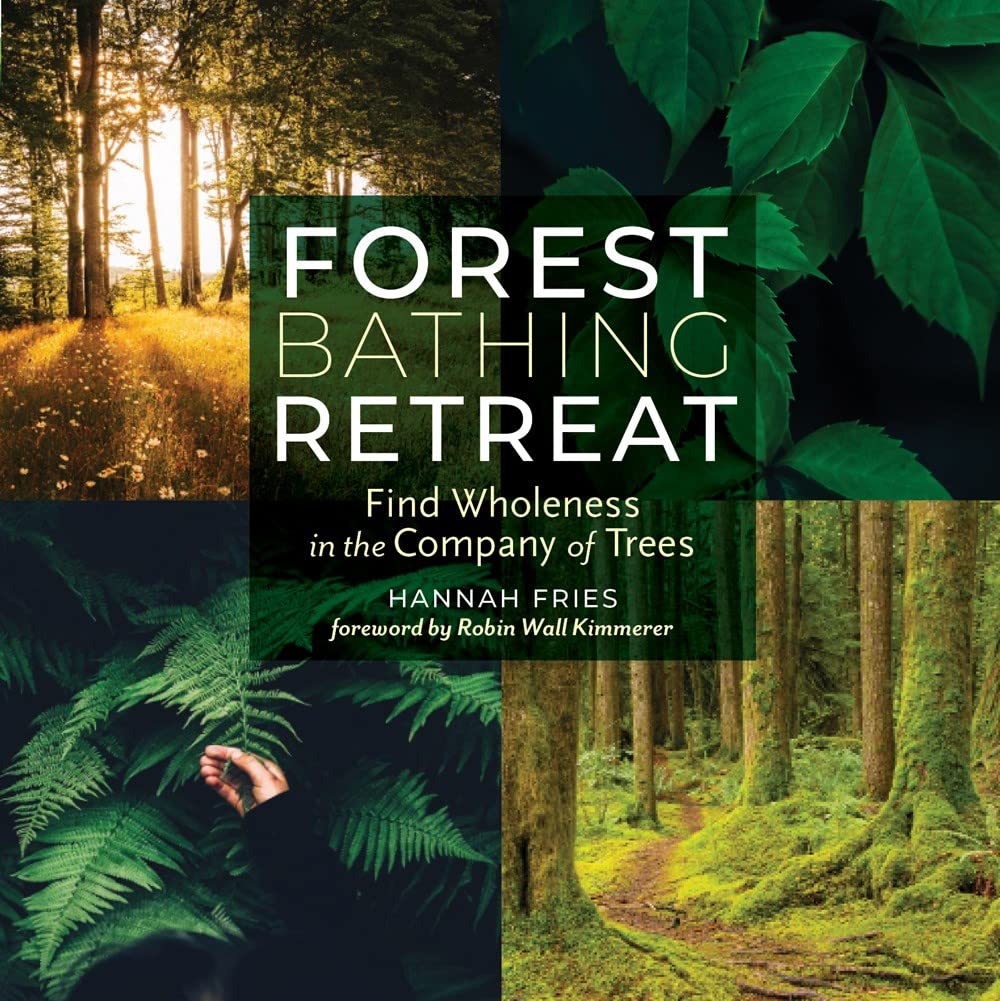 Algopix Similar Product 14 - Forest Bathing Retreat Find Wholeness