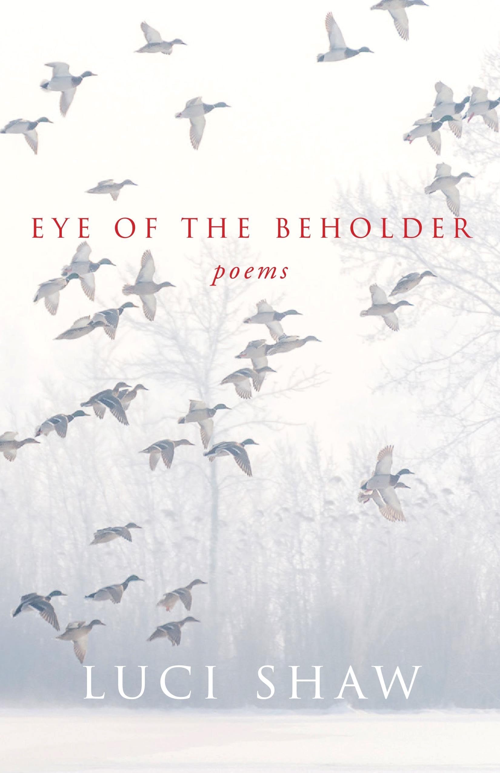 Algopix Similar Product 8 - Eye of the Beholder (Paraclete Poetry)