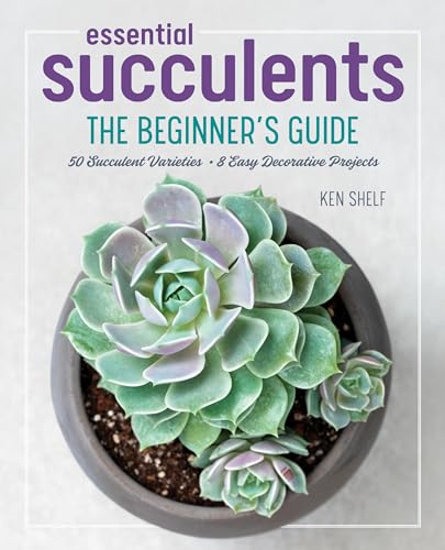 Algopix Similar Product 1 - Essential Succulents The Beginners