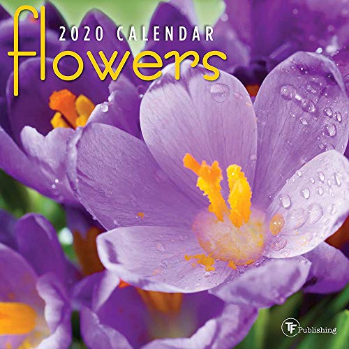 Algopix Similar Product 14 - 2020 Flowers Mini Calendar