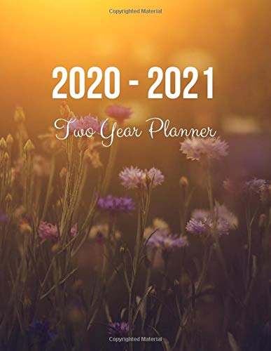 Algopix Similar Product 19 - 20202021 Two Year Planner Vintage