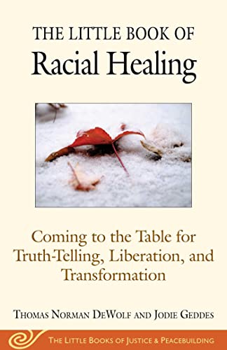 Algopix Similar Product 16 - The Little Book of Racial Healing