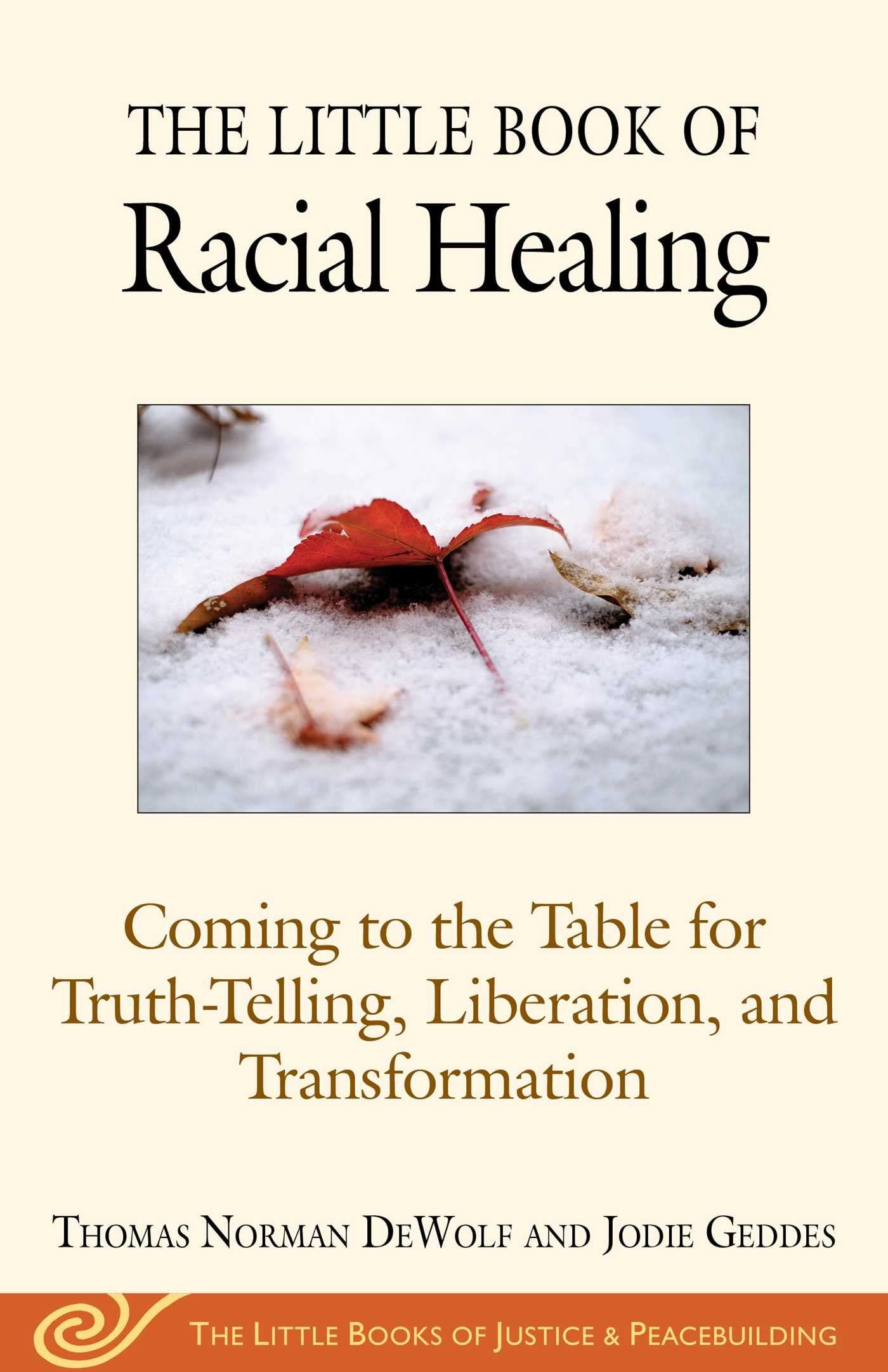 Algopix Similar Product 4 - The Little Book of Racial Healing