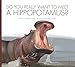 Algopix Similar Product 10 - Do You Really Want to Meet a