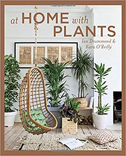 Algopix Similar Product 15 - At Home with Plants