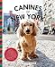 Algopix Similar Product 2 - Canines of New York