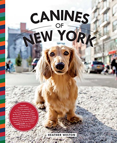 Algopix Similar Product 14 - Canines of New York