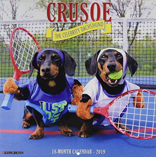 Algopix Similar Product 19 - Crusoe the Celebrity Dachshund 2019