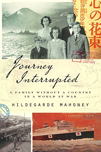 Algopix Similar Product 20 - Journey Interrupted A Family Without a