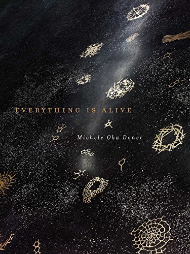 Algopix Similar Product 6 - Everything Is Alive
