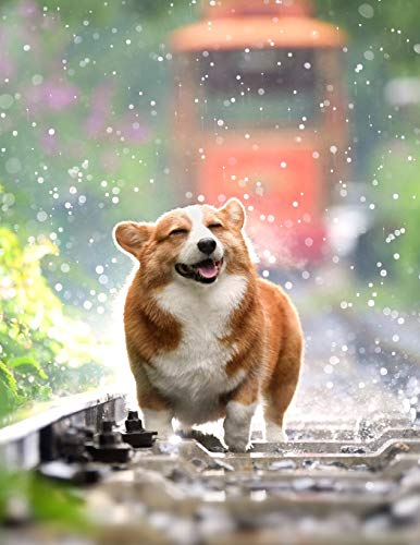 Algopix Similar Product 4 - Notebook Pets Dog Corgi Cute Welsh