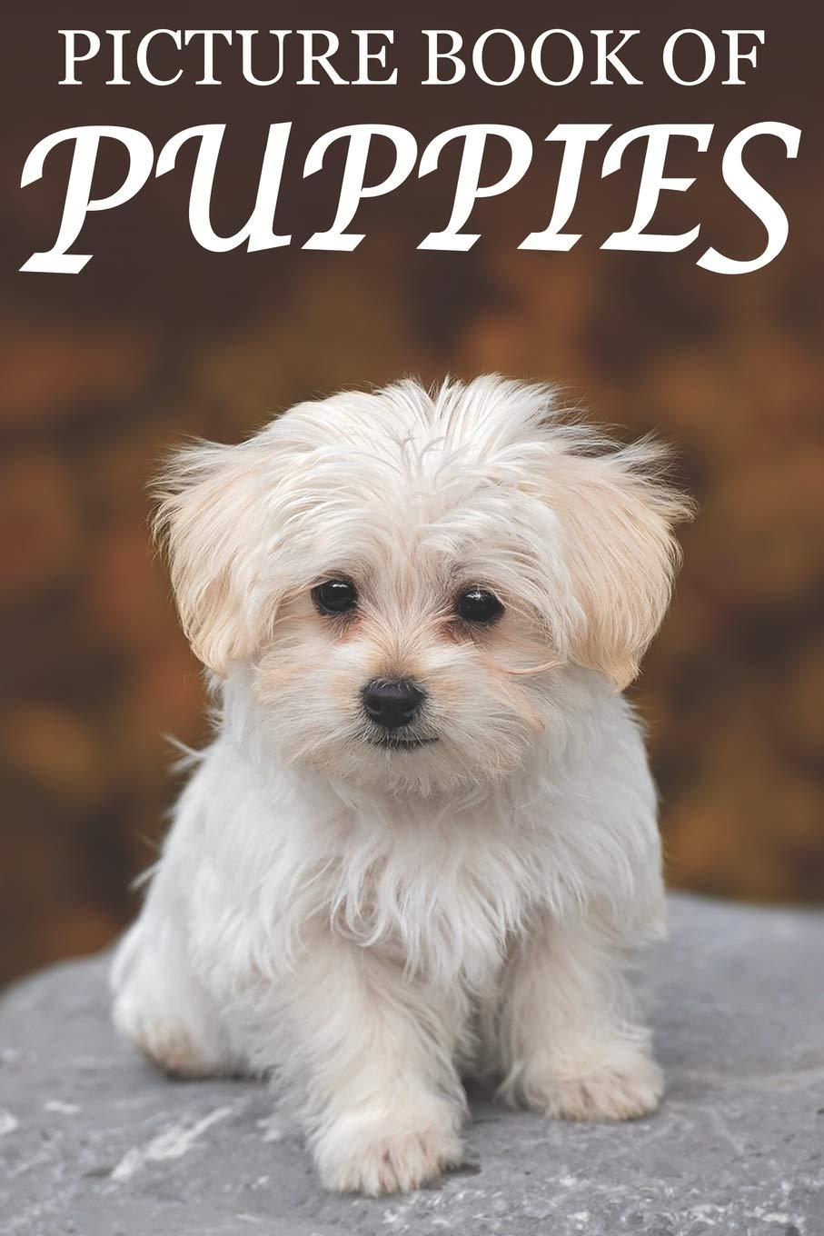 Algopix Similar Product 8 - Picture Book of Puppies Picture Book