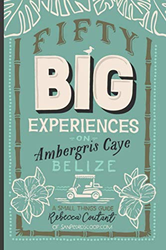 Algopix Similar Product 15 - Fifty Big Experiences on Ambergris