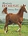 Algopix Similar Product 17 - Realistic Horse Coloring Book
