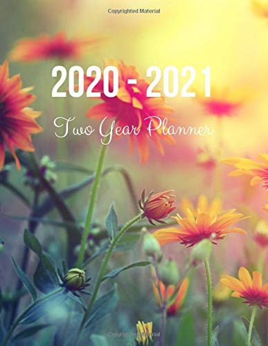 Algopix Similar Product 5 - 20202021 Two Year Planner Vintage
