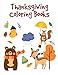Algopix Similar Product 1 - Thanksgiving Coloring Books coloring