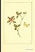 Algopix Similar Product 1 - Butterfly Print Journal Vintage