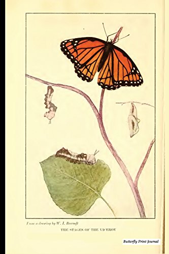 Algopix Similar Product 7 - Butterfly Print Journal Vintage