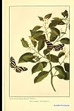 Algopix Similar Product 9 - Butterfly Print Journal Vintage