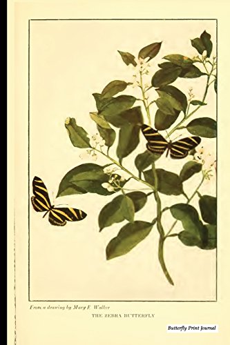 Algopix Similar Product 5 - Butterfly Print Journal Vintage